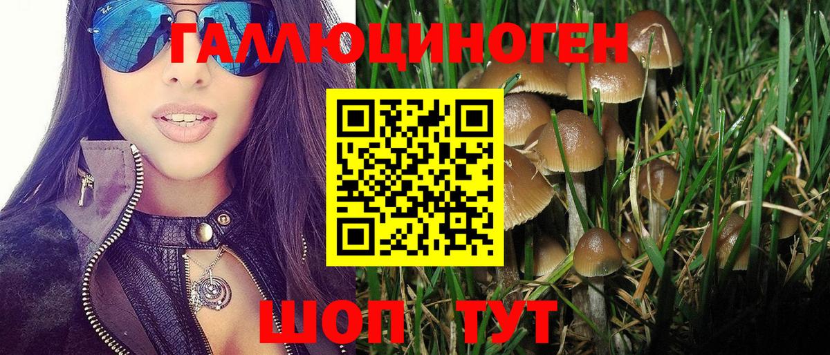 Псилоцибиновые грибы GOLDEN TEACHER  Галлюциногенные грибы Psilocybe  Вход с VPN  Янаул 