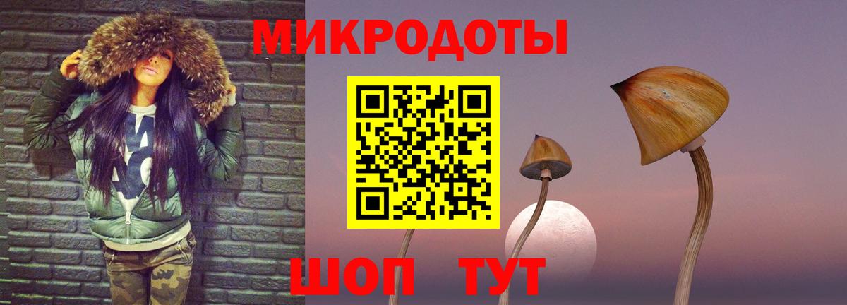 Галлюциногенные грибы Cubensis Янаул